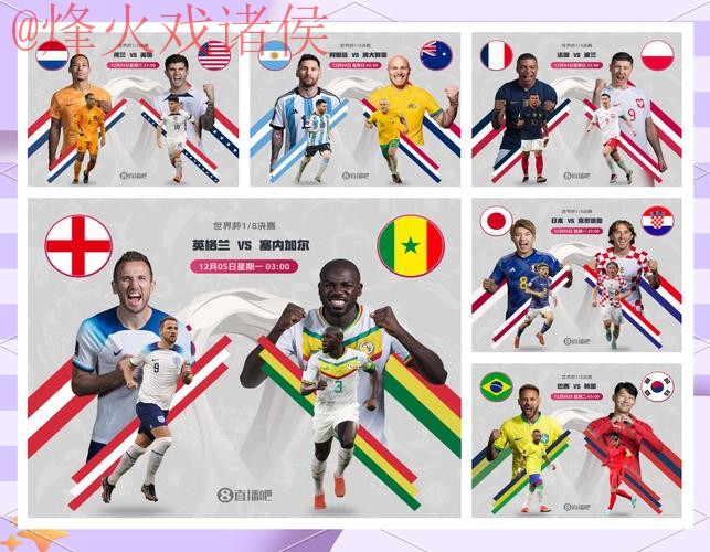 全面解析世界杯预测全站哪个更好用