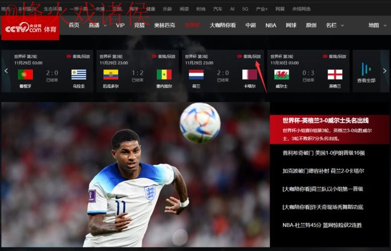 观看2022世界杯直播的最佳网页版最新网址
